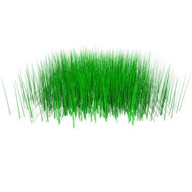 yeşil çimenler beyazda izole edilmiş