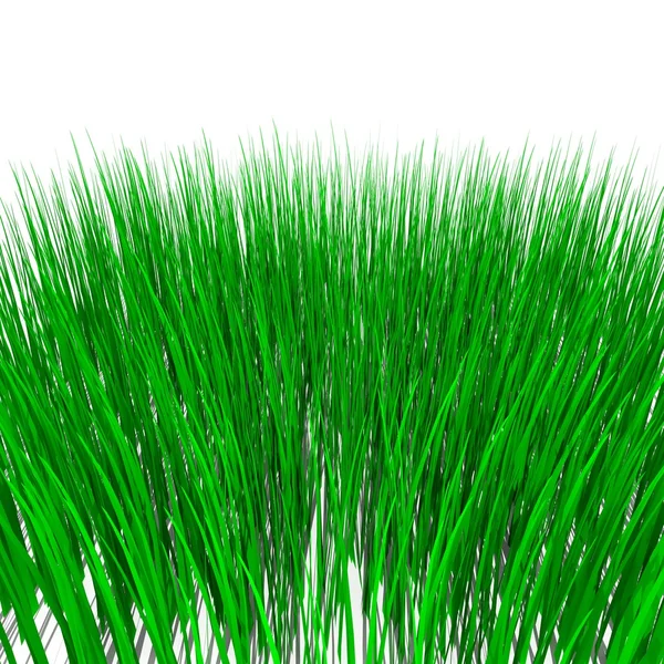 Πράσινο γρασίδι απομονωμένο σε λευκό — Φωτογραφία Αρχείου