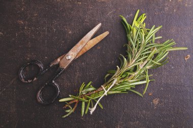 Biberiye, karabiber taneleri ve makas