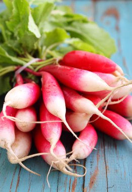 Kırmızı Bahçe turp demet