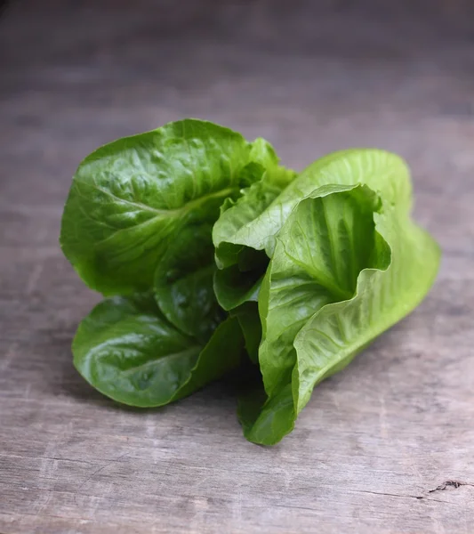 Salata verde Romaine — Fotografie, imagine de stoc