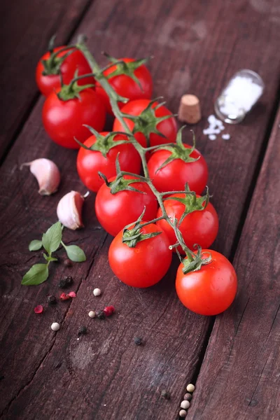 Tomates con especias — Foto de Stock