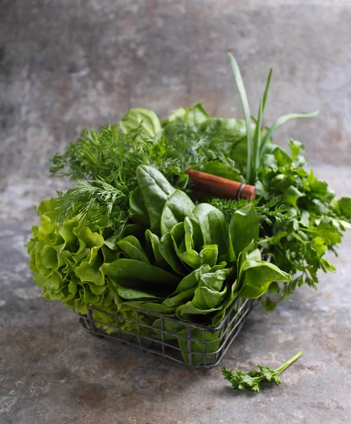 Fresh green herbs in metal basket — Stock Photo, Image