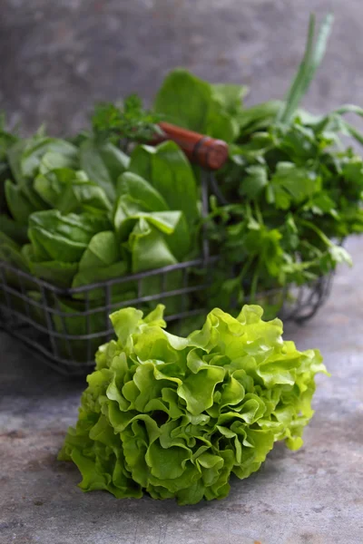 Fresh green herbs in metal basket — Stock Photo, Image