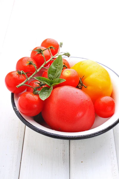 Tomates amarelos e vermelhos — Fotografia de Stock