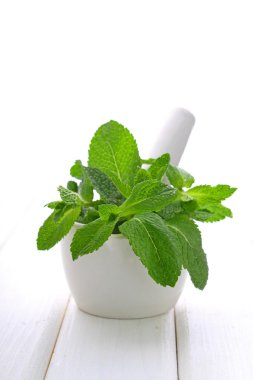Yeşil nane yaprakları