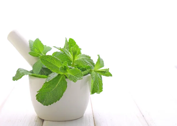 Green mint leaves — Stock Photo, Image