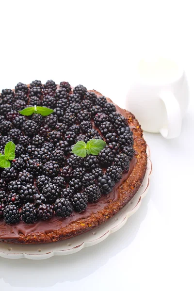 自家製のチョコレート ケーキとナッツのブラックベリー — ストック写真