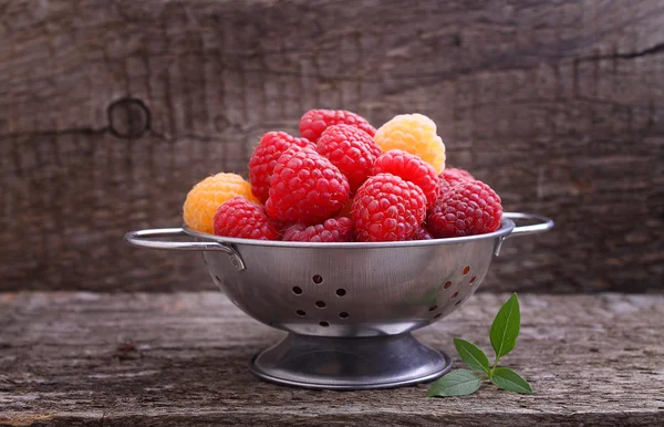 Red and yellow raspberries in a metal bowl — Stock Photo, Image