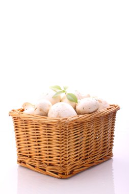 sepet içinde petrol