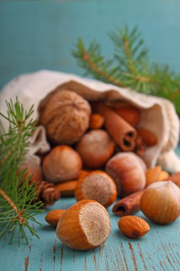 Mavi bir arka plan üzerinde Noel çanta ile fındık ve tarçın sopa