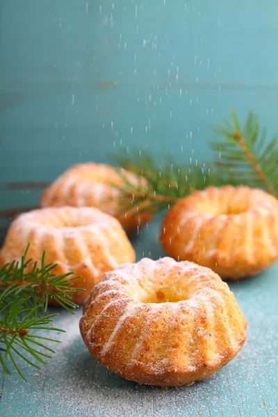Tortas caseras con ramas de abeto decoradas con azúcar en polvo — Foto de Stock