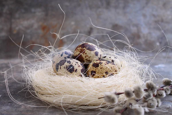 Huevos de codorniz en un nido — Foto de Stock