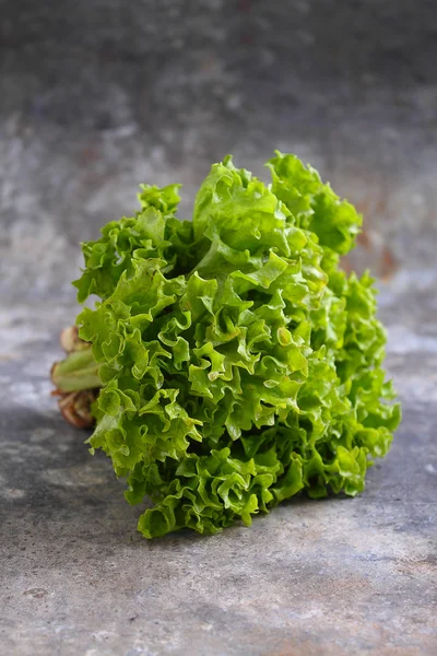 Green leaves of salad — Stock Photo, Image