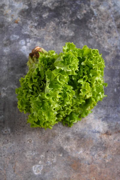 Зелене листя салату — стокове фото