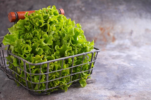Frunze verzi de salată în coș — Fotografie, imagine de stoc