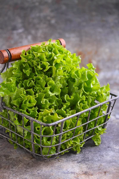 Зелене листя салату в кошику — стокове фото