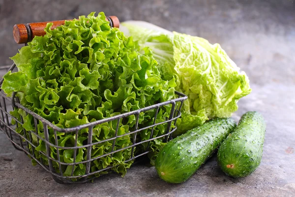 Зелене листя салату та огірків — стокове фото