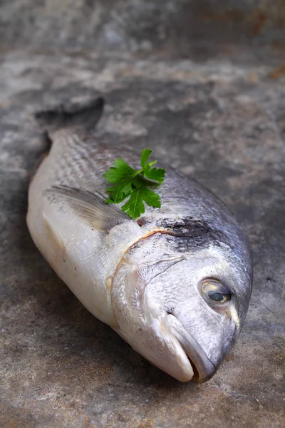 Raw fish Dorado — Stock Photo, Image