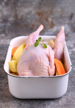 plaka taze bıldırcın