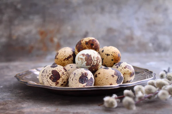 bıldırcın yumurtası metal bir plaka