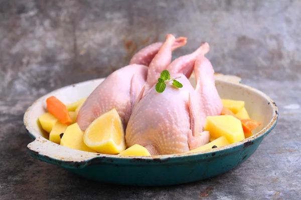 Codornices frescas en una mesa — Foto de Stock