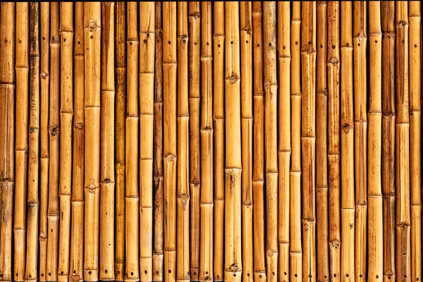 Cerca de bambu textura de fundo — Fotografia de Stock