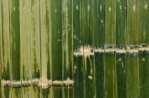 Verde Bambu Queimar Textura Fundo Natural — Fotografia de Stock