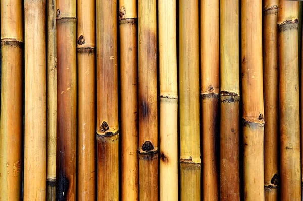 Verde Bambu Queimar Textura Fundo Natural — Fotografia de Stock