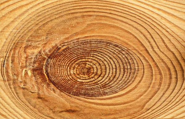 Textura de madeira close-up fundo. — Fotografia de Stock