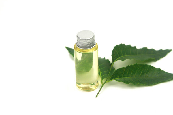 Neem oil in bottle and neem leaf isolated on white background. Neem oil is an excellent moisturizing oil and contains various compounds that have insecticidal and medicinal properties.