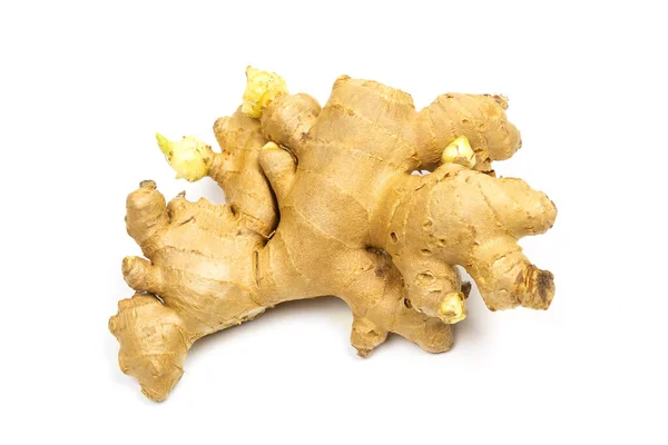 Čerstvé Ginger Rhizome Izolované Bílém Pozadí — Stock fotografie