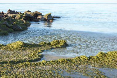 denize bir fırtına sonra