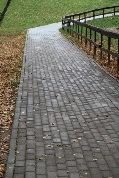 Gångväg Parken Kaklat Träräcke Fallna Löv Höst — Stockfoto