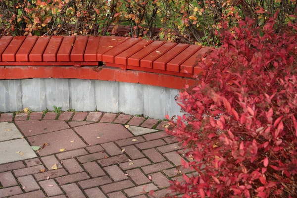 Красная Скамейка Куст Осеннем Парке Фон — стоковое фото