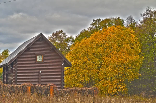 柵の後ろのログハウスと黄色の葉を持つ木 — ストック写真