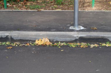 Kaldırımda, kaldırımda, yolda, sonbaharda, minimalizmde düşen sarı yapraklar.