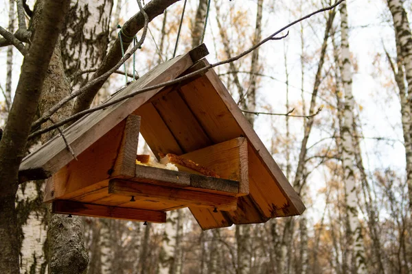 Planche Mangeoire Oiseaux Avec Pain Automne — Photo