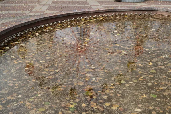 Het Wateroppervlak Fontein Bedekt Met Omgevallen Bladeren Droge Naalden Reflectie — Stockfoto
