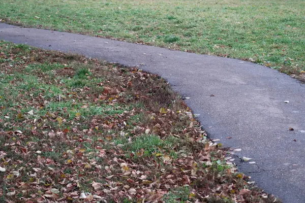 Asfalt Voetpad Een Groen Gazon Bezaaid Met Gevallen Bladeren Herfst — Stockfoto