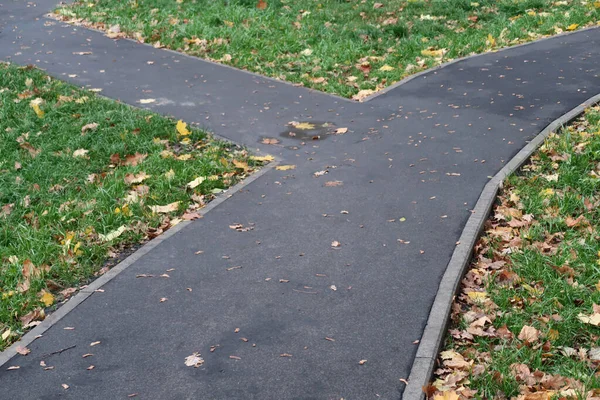 Asphalt Footpath Border Green Lawn Strewn Fallen Leaves Autumn — Stock Photo, Image