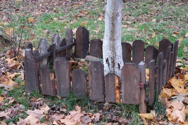 Alacsony Kerítés Egy Kis Fához Ősz Lehullott Levelek — Stock Fotó