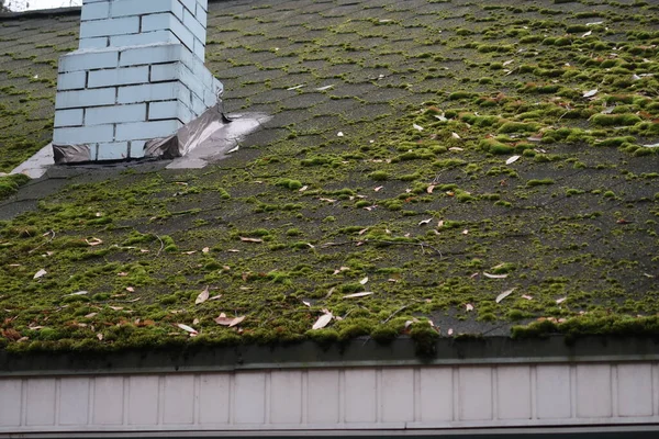 Green Moss Roof Building White Stone Chimney — Stock Photo, Image