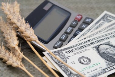 Tahıl kuru kulaklar ve Amerikan banknotları bir vintage hesap makinesinde yalan ve dünya gıda krizi sembolize, tahıl ihracat sorunları