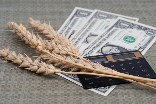 Kuru buğday ve Amerikan banknotları hesap makinesine, dünya gıda krizine, tahıl ihracatına yatar.