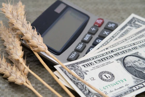 Tahıl kuru kulaklar ve Amerikan banknotları bir vintage hesap makinesinde yalan ve dünya gıda krizi sembolize, tahıl ihracat sorunları