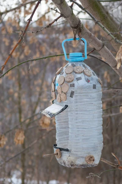 Vogelfutterspender Aus Leerer Plastikflasche Mit Aufgeklebten Korkresten — Stockfoto