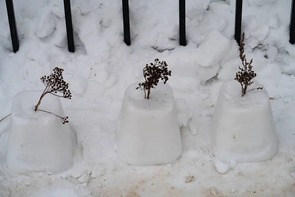 Pasteles Nieve Con Ramitas Secas Tanaceto Fondo Una Valla Metal — Foto de Stock