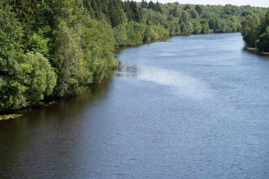 Orman kıyıları ve arka planıyla tam akan sessiz bir nehir.