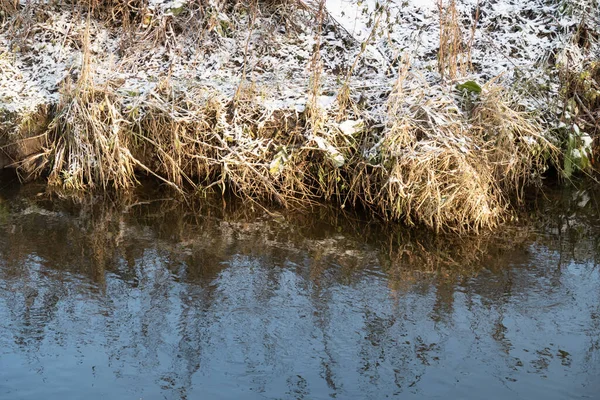 stock image The Bitsa river in the suburbs, covered with snow on dry grass on the shore, water surface, the sky in the water